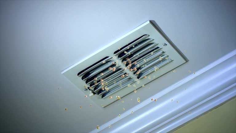 Auburn, AL Airduct Cleaning Company