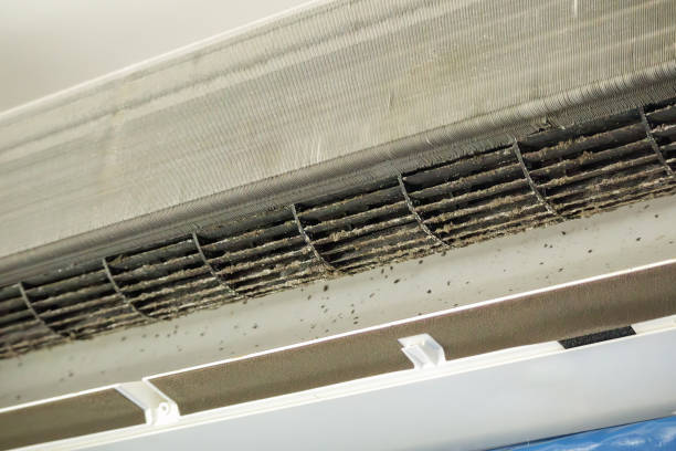 Best Affordable Duct Cleaning Services  in Auburn, AL